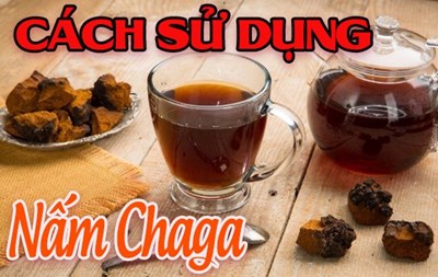 Cách Sử Dụng Nấm Chaga Nga Tốt Nhất