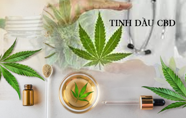 4 Cách Sử Dụng Tinh Dầu CBD Mang Lại Hiệu Quả Cao