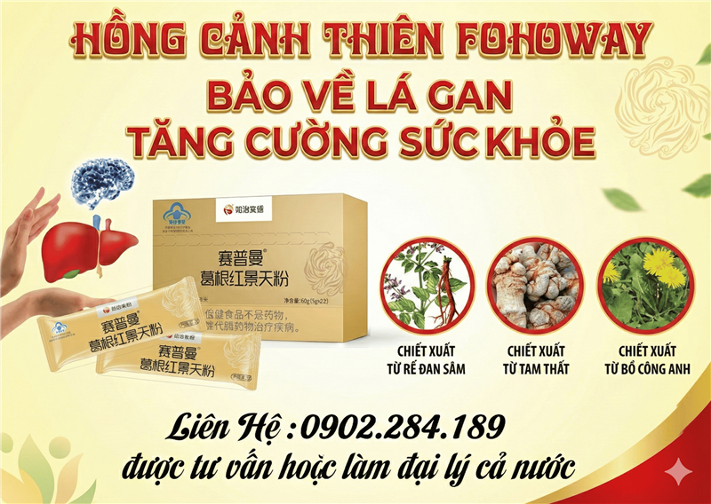 Hồng Cảnh Thiên Fohoway Phòng Ngừa Các Bệnh Lý Về Gan Hiệu Quả