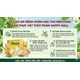 Giá Bán Recuperate Plus Giúp Phục Hồi Và Tăng Cường Sức Khỏe