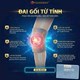 Giá Bán Của Đai Gối Năng Lượng Từ Tính Fohoway Bao Tiền 