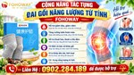 Giá Bán Của Đai Gối Năng Lượng Từ Tính Fohoway Bao Tiền 